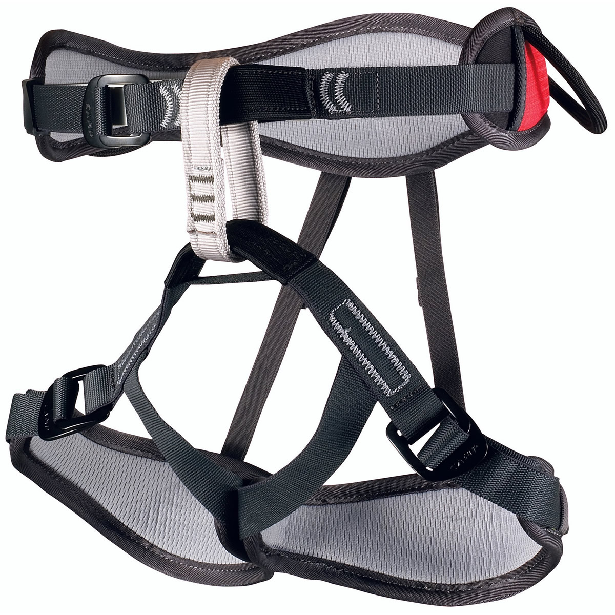 Baudrier Harlequin de Camp