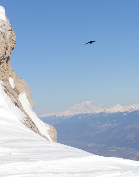 Mont Blanc : Vol petit oiseau