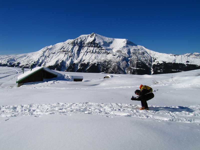 #2 Chalets du Truc : K.L. au plateau du Truc !? Chalets du Truc : K.L. au plateau du Truc !?