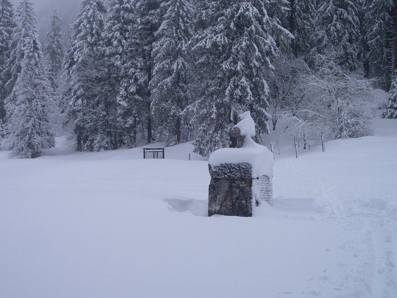 Col de la Charmette : Belle quantité de neige