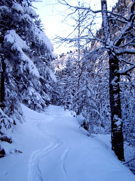 #4 Chemin vers Bourdoire : Bizarrement, le chemin habituel de montée est resté vierge... que de la peuf! Chemin vers Bourdoire : Bizarrement, le chemin habituel de montée est resté vierge... que de la peuf!