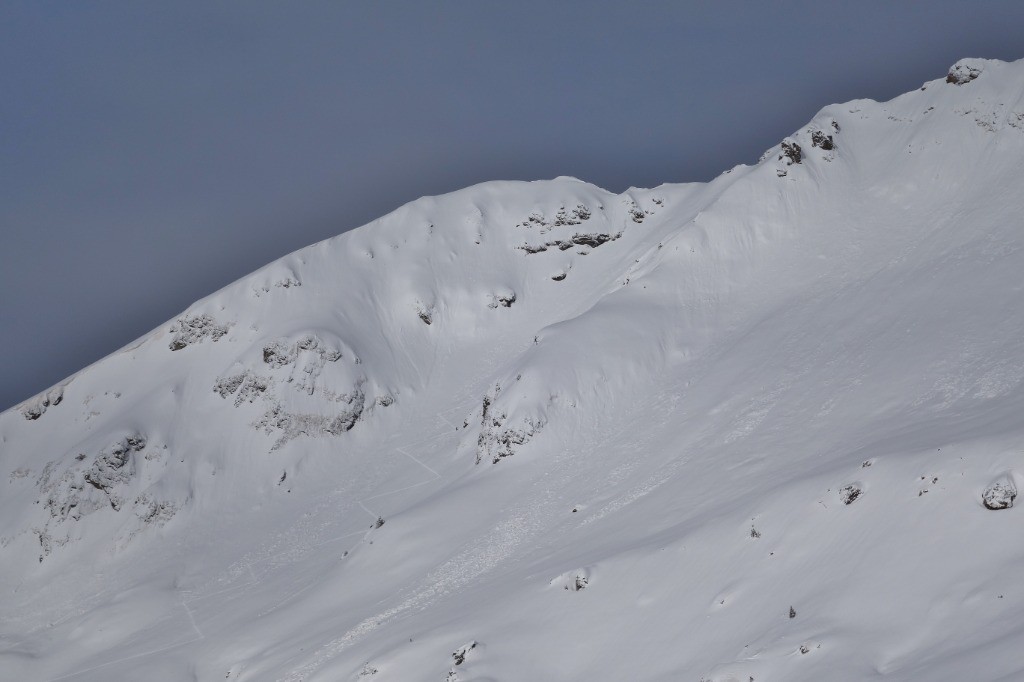 #2 Didyeti au jas des lièvres Didyeti au jas des lièvres