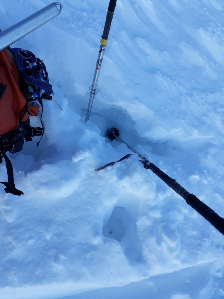 Millefeuille sous l'arête de Brouffier vers Pas de la Mine