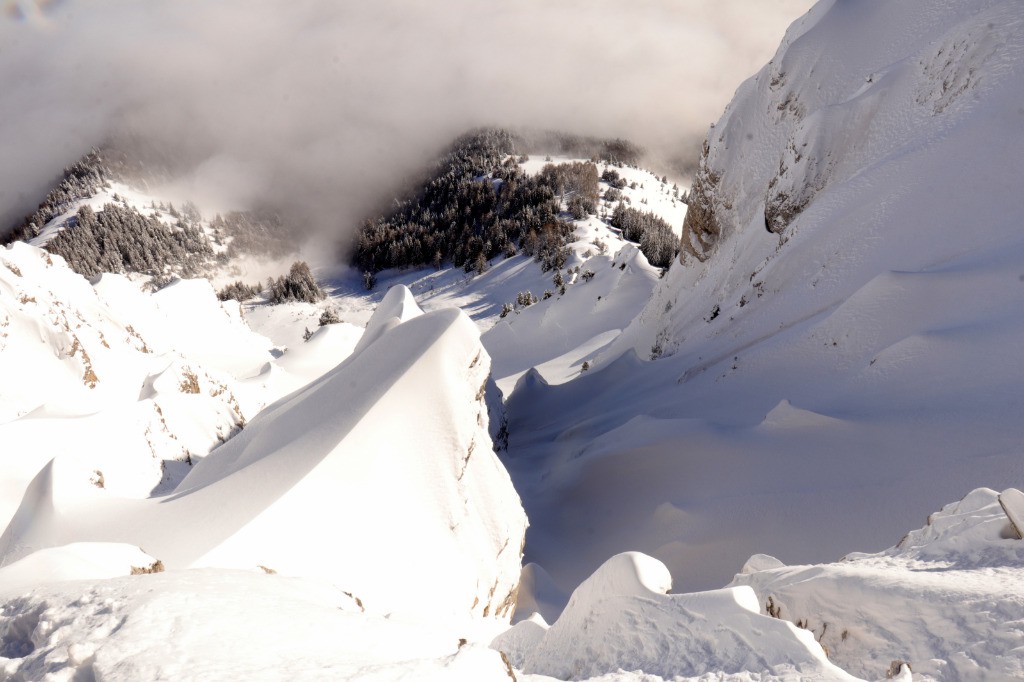 #17 la rive droite..qui avait l la rive droite..qui avait l'air de passer...(@yougs)