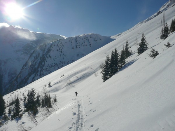 #1 Tempete de soleil : Sur la route forestière lors de la 1ère montée Tempete de soleil : Sur la route forestière lors de la 1ère montée