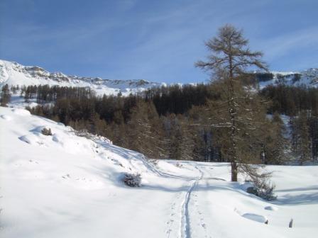 #2 traces vers 1700 : beuacoup de neige sur l traces vers 1700 : beuacoup de neige sur l'itinéraire