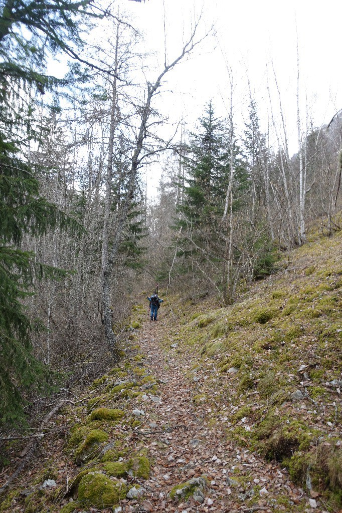 #23 C C'est un peu longuet tout ça !