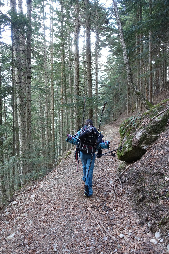 #22 Retour en forêt Retour en forêt