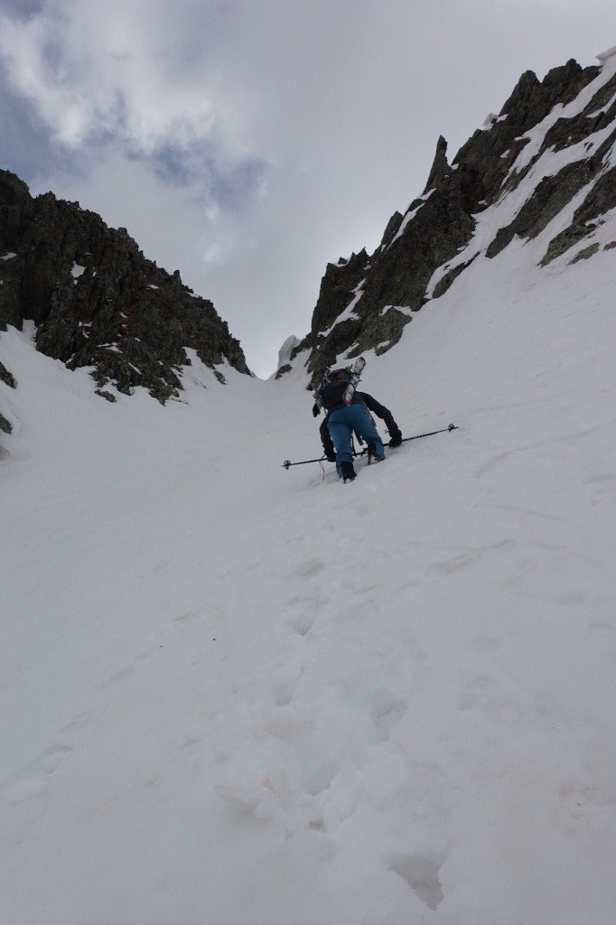 #16 Glad Glad' à la trace