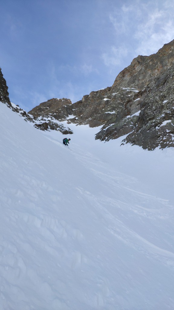 #15 Banane NW Banane NW