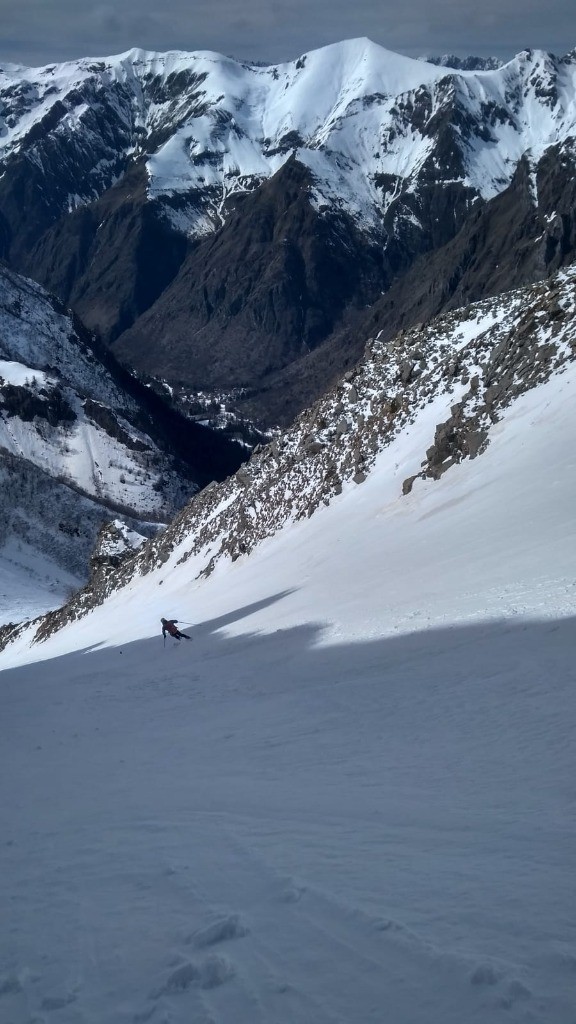 #18 Banane NW Banane NW