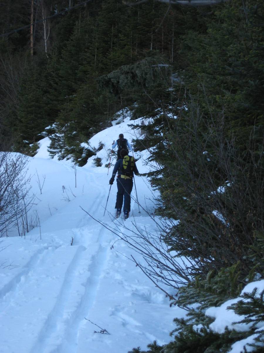 #1 Tabor : Sur le chemin montant de Villard St Christophe. Tabor : Sur le chemin montant de Villard St Christophe.
