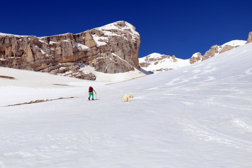 #3 Buckingham palace Buckingham palace