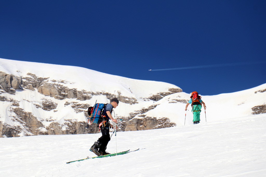 #4 Dans la quête des grands ferrets Dans la quête des grands ferrets