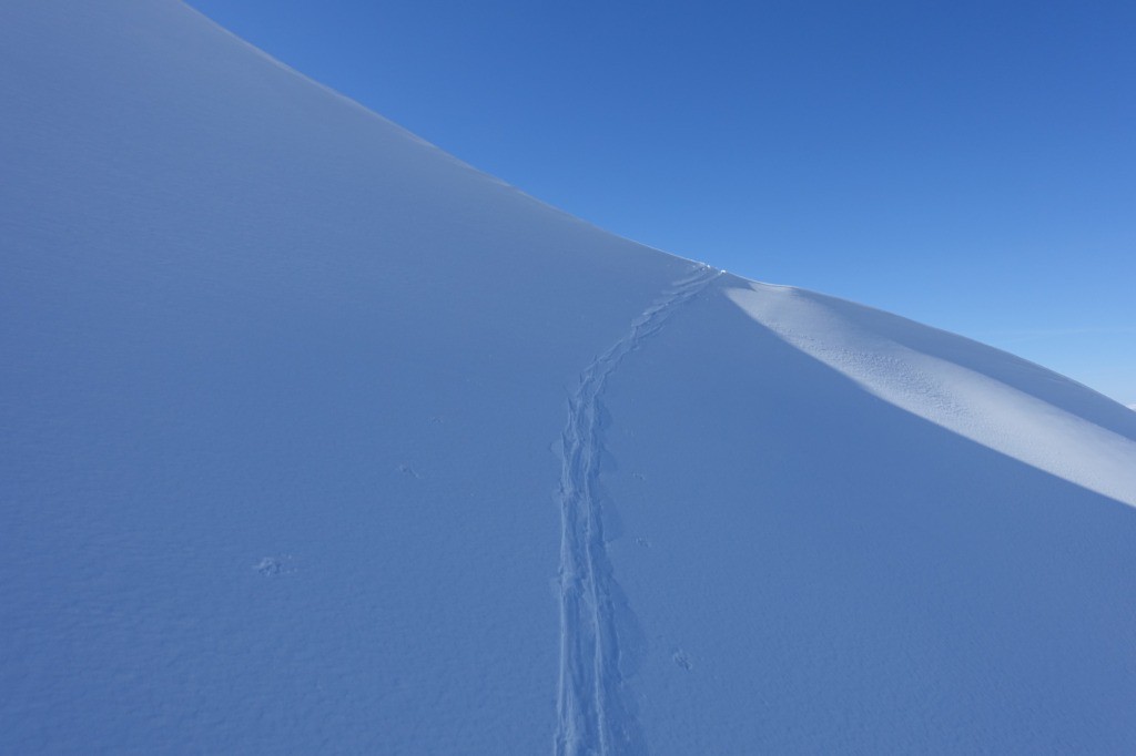 #19 Une trace pour le Paradis Une trace pour le Paradis