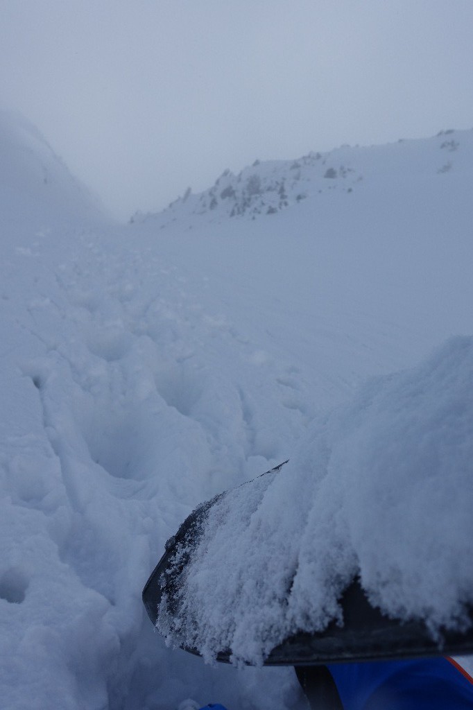 #5 Ca plonge ! Ca plonge !