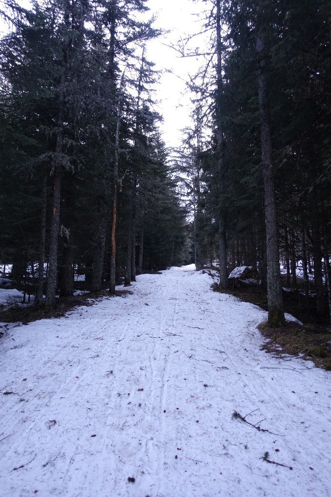 #2 Piste encore bien enneigée mais ça ne durera pas Piste encore bien enneigée mais ça ne durera pas