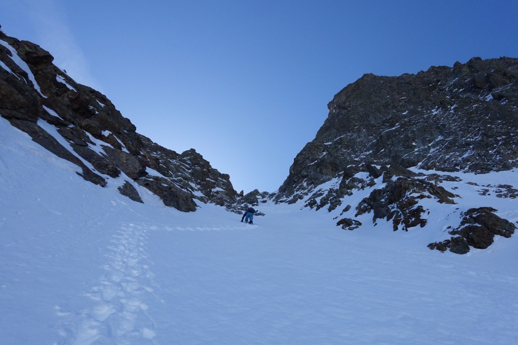 #8 Glad Glad' à la trace