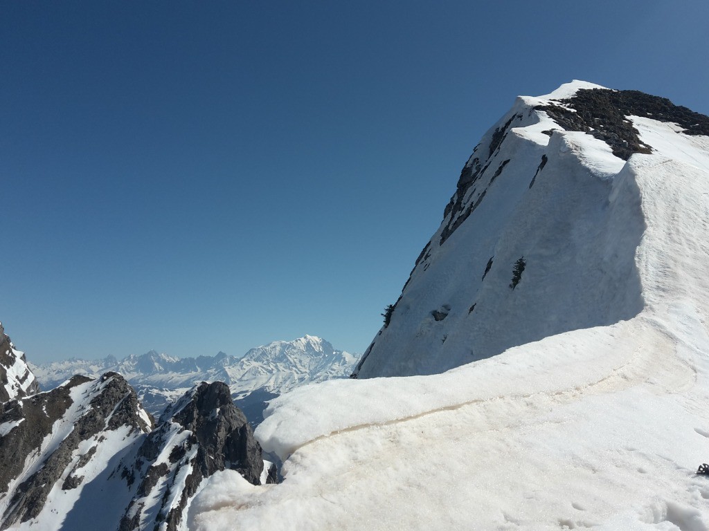 #3 Arête sommitale. Arête sommitale.