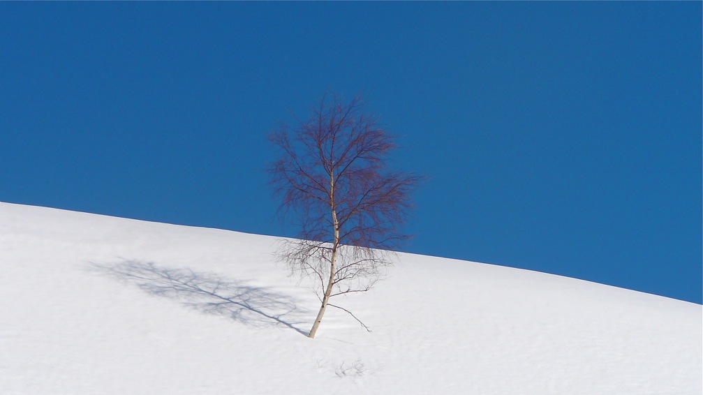 Solitude : Il me plaisait beaucoup!