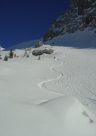#6 Bas de la combe : Encore du bon ski Bas de la combe : Encore du bon ski