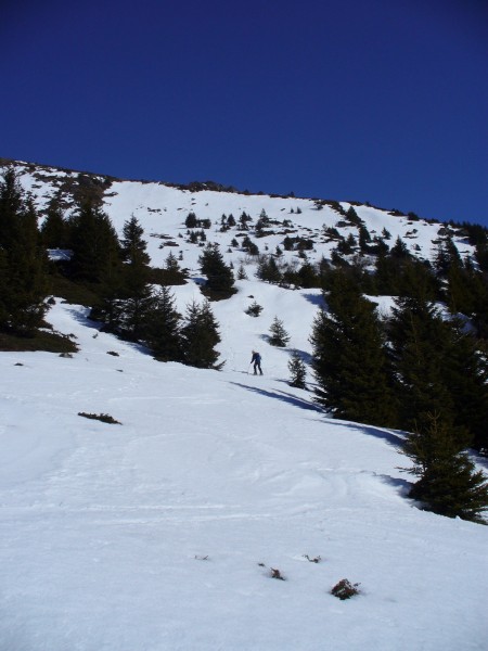 Le bas de la descente : Le bas de la descente en versant Sud avant de retraversé sous le versant Ouest