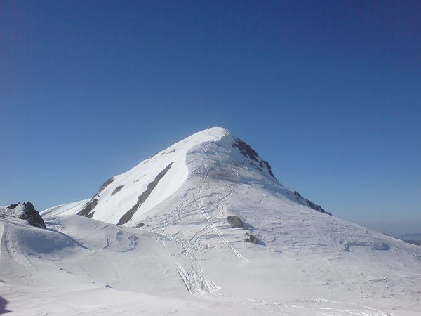 Dents de Bédina