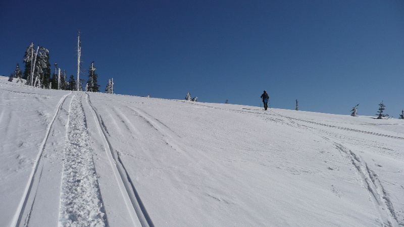 Concurrence deloyale : Quand les traces de scooter des neiges rivalisent avec les traces de ski....
