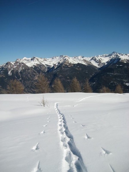 #3 Col Tramouillon : Un plateau panoramique. Col Tramouillon : Un plateau panoramique.