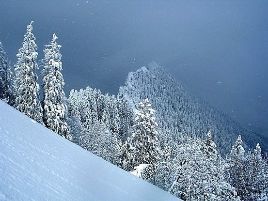 #4 remontée épaule ouest : La chartreuse dans toute sa splendeur remontée épaule ouest : La chartreuse dans toute sa splendeur