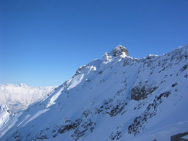 #4 frêne, nord : d frêne, nord : d'autre viendront se gaver aussi c'est sur !