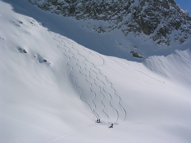 #2 pas du frêne : et ça va être partout comme ça ! pas du frêne : et ça va être partout comme ça !