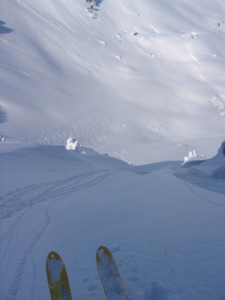 #3 Couloir du Dôme de Bellefond : Belle poudreuse dans le versant nord du Dôme de Bellefond (cotation ?) Couloir du Dôme de Bellefond : Belle poudreuse dans le versant nord du Dôme de Bellefond (cotation ?)
