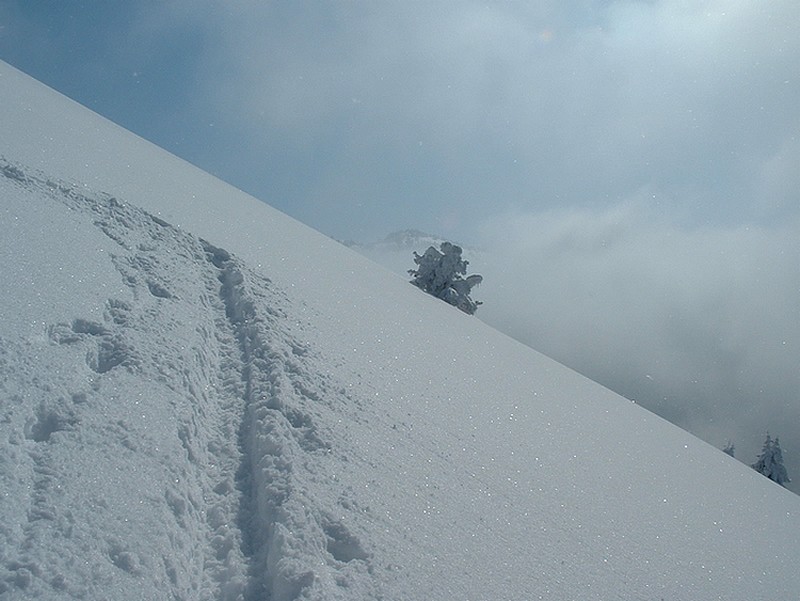 #1 La trace parfaite : Quelle neige mes amis.... La trace parfaite : Quelle neige mes amis....