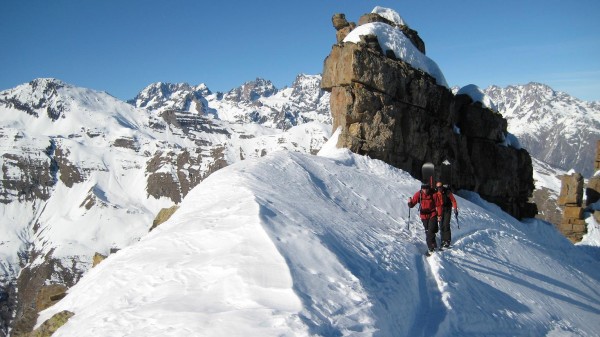 #7 Olive et l Olive et l'Ours : En fond d'Ecrins.