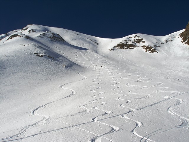 #7 traces sous le sommet : délicieux! traces sous le sommet : délicieux!