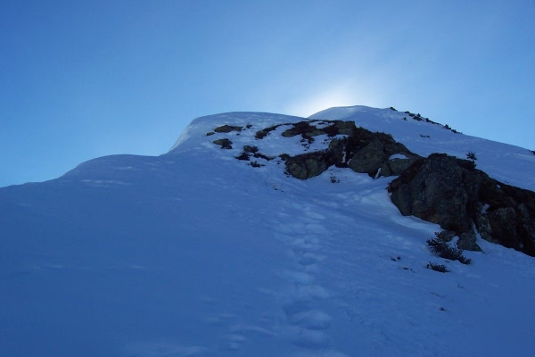 #2 sommet : Pas loin du sommet du petit Charnier sommet : Pas loin du sommet du petit Charnier