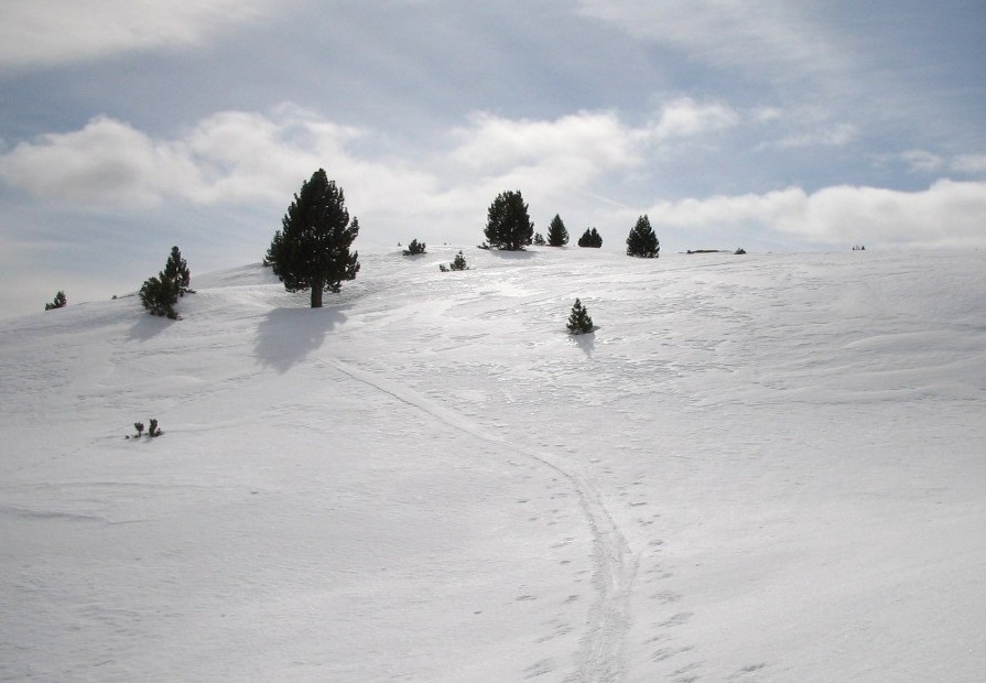 #4 ambiance Hauts plateaux : Après la face sud direction le pas de la Selle ambiance Hauts plateaux : Après la face sud direction le pas de la Selle