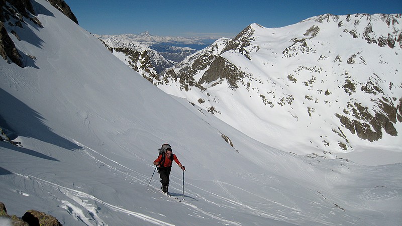 #6 Cime Ouest de l Cime Ouest de l'Agnel : Jip après son petit Jogging matinal à la Cime Ouest de l'Agnel, en fond