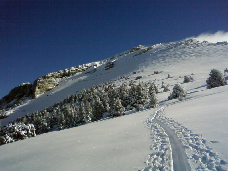 #1 apercu : Personne n apercu : Personne n'a d'appareil photo, une petite avec son téléphone alors...
On devine à peine les pare-avalanches tellement il y a de la neige