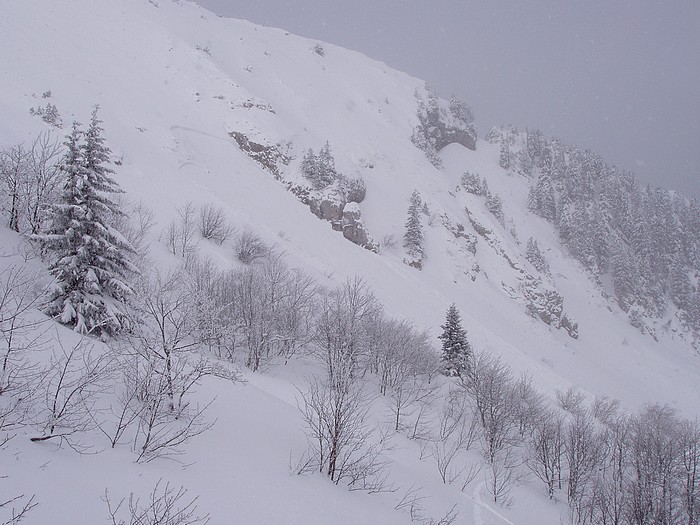 #5 Avalanche 2 : L Avalanche 2 : L'avalanche vue de Roche Rousse