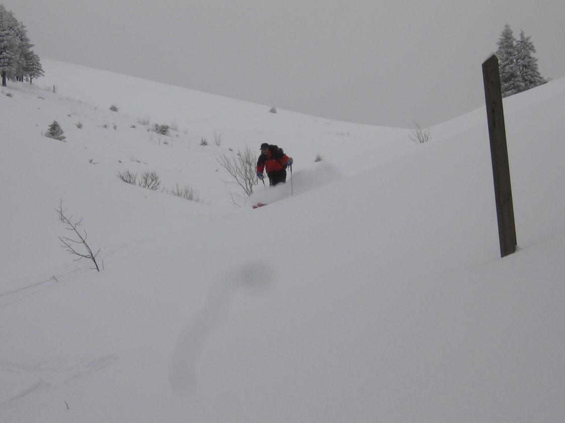 #8 philippe : sur le bas du vallon sud philippe : sur le bas du vallon sud