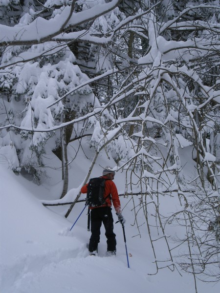 #4 Ravières : Grosse neige dans la forêt. Ravières : Grosse neige dans la forêt.