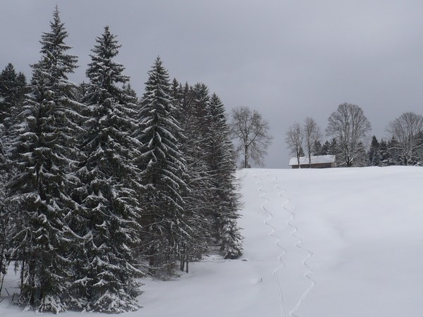 #2 Traces vers le reposoir : neige pas trop mauvaise !!! Traces vers le reposoir : neige pas trop mauvaise !!!