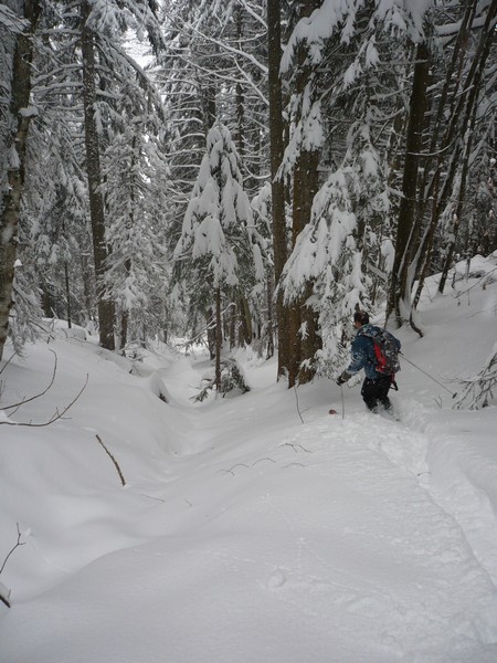 #5 Ski en forêt : Non, ce n Ski en forêt : Non, ce n'est pas la Chartreuse...