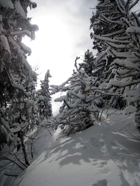 #6 Paysage Chartousin : C Paysage Chartousin : C'est toujours sympa par ici sous la neige avec un rayon de soleil