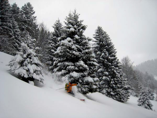 #3 Pravouta SW : De belles quantités par ici Pravouta SW : De belles quantités par ici