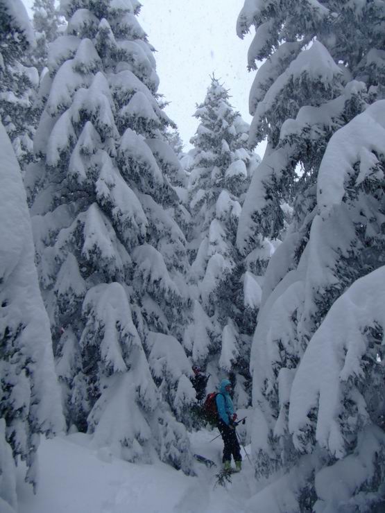 #2 Montée est : On reste dans la forêt (Photo Pascal) Montée est : On reste dans la forêt (Photo Pascal)