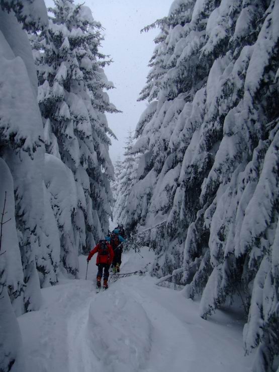 #3 Remontée ouest : La combe de Bellefond était hyper chargée , on est resté dans la forêt (photo pascal) Remontée ouest : La combe de Bellefond était hyper chargée , on est resté dans la forêt (photo pascal)