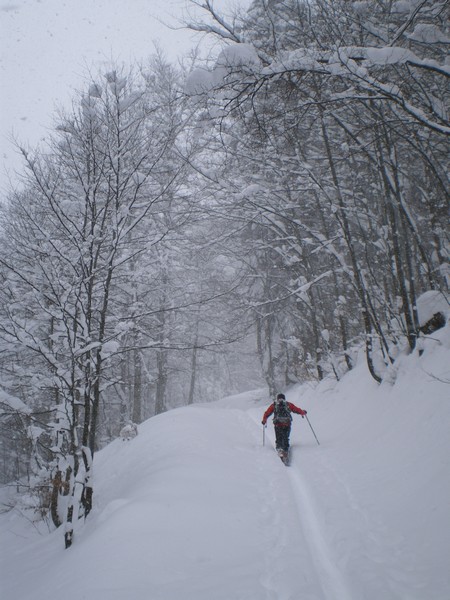 #6 Giclard : Remontée au col des Ayes. Giclard : Remontée au col des Ayes.